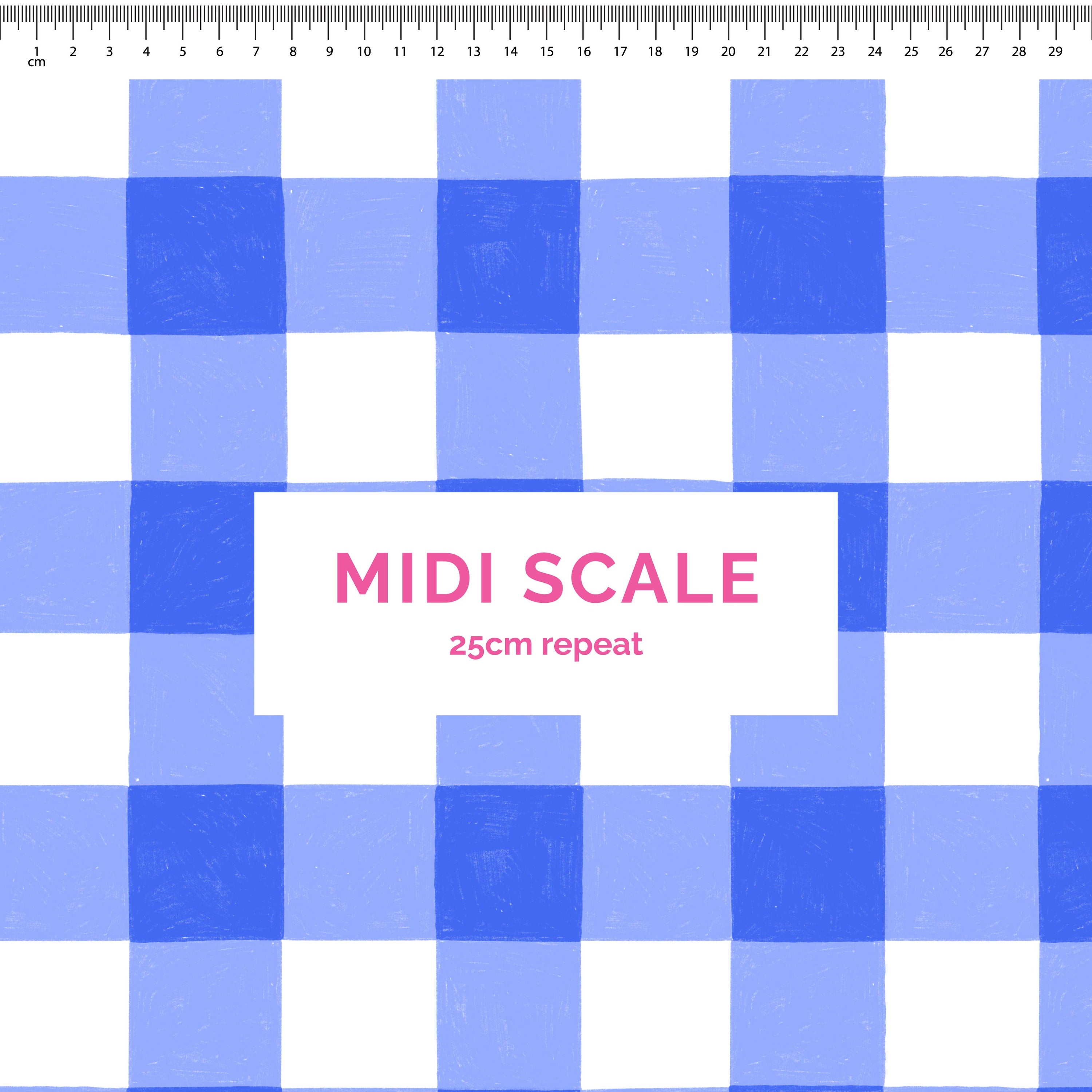 Pre-Order: Gingham (Blue)