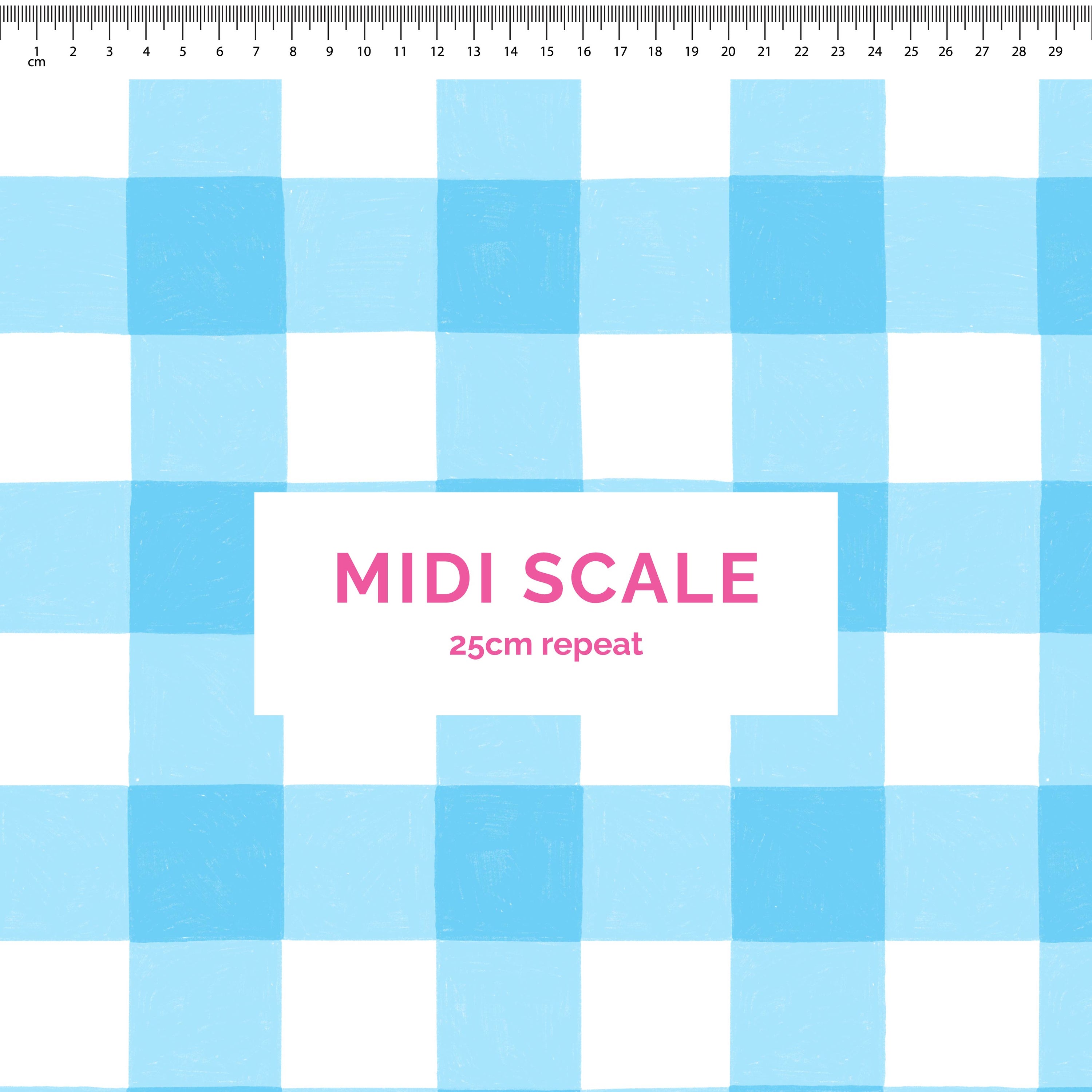 Pre-Order: Gingham (Light Blue)