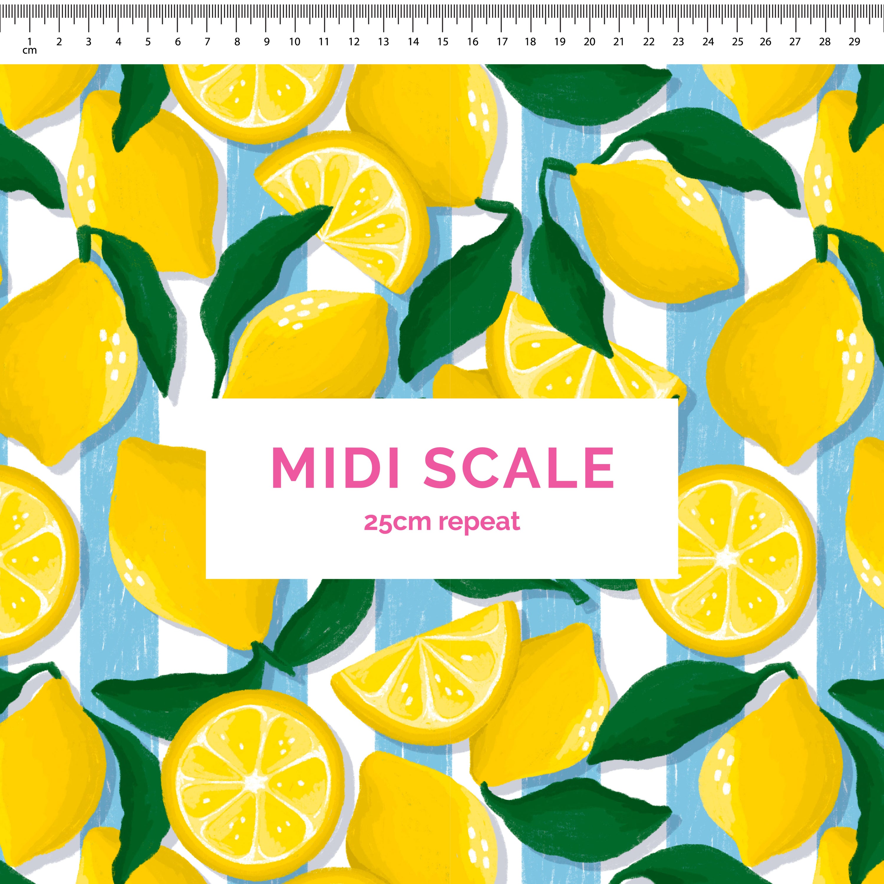 Pre-Order: Limone (Blue)