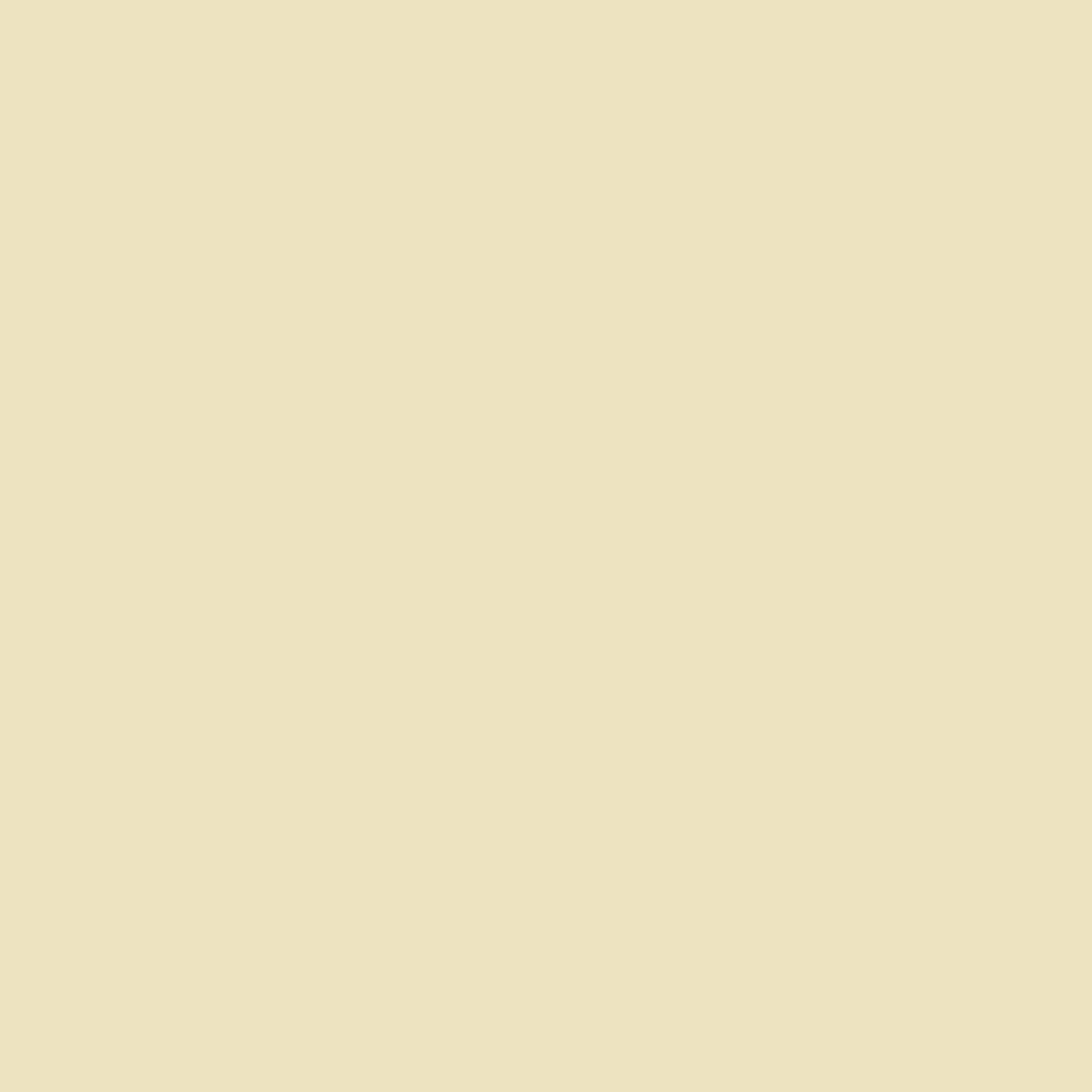 Pre-Order: Midnight Blooms - Cream
