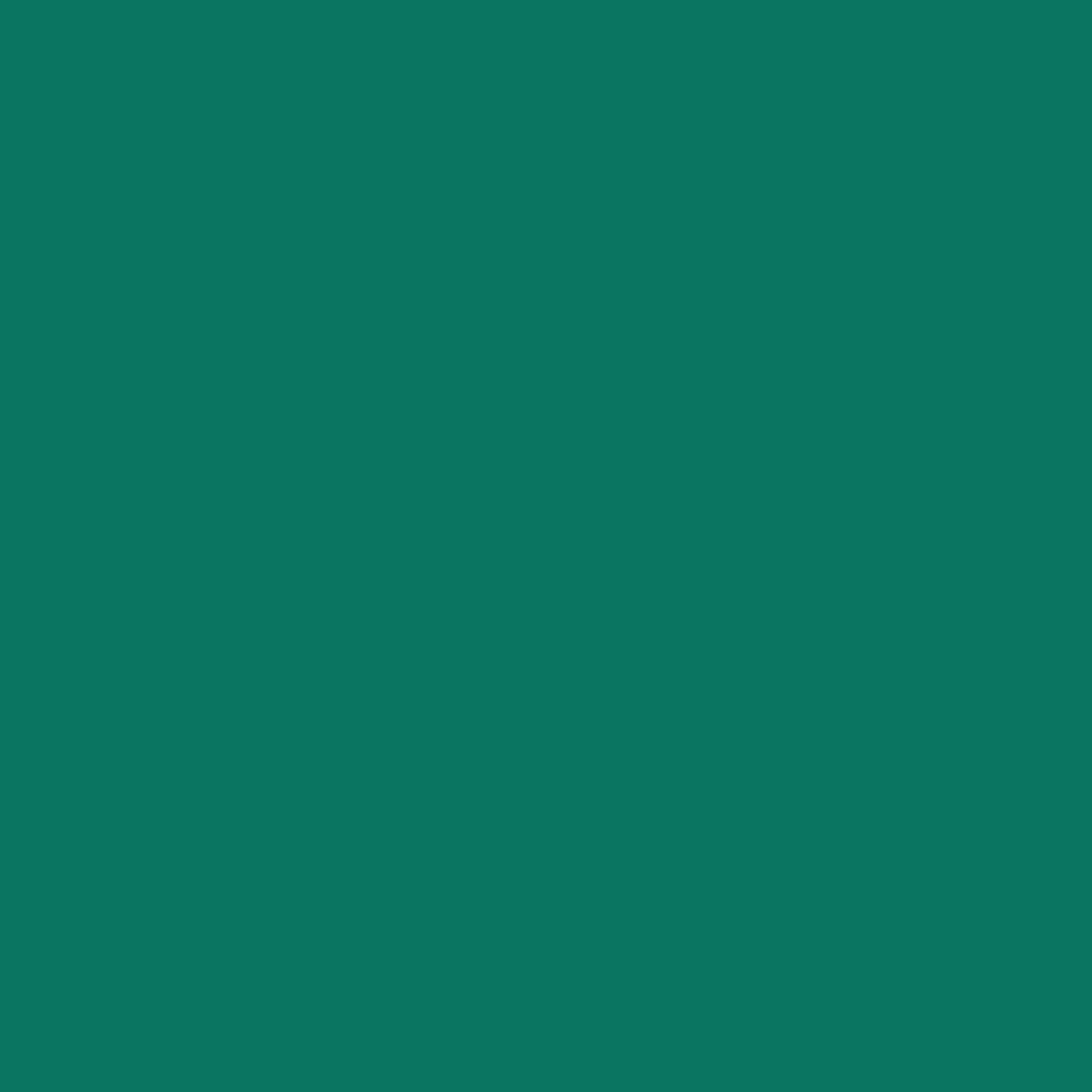 Pre-Order: Midnight Blooms - Bottle Green