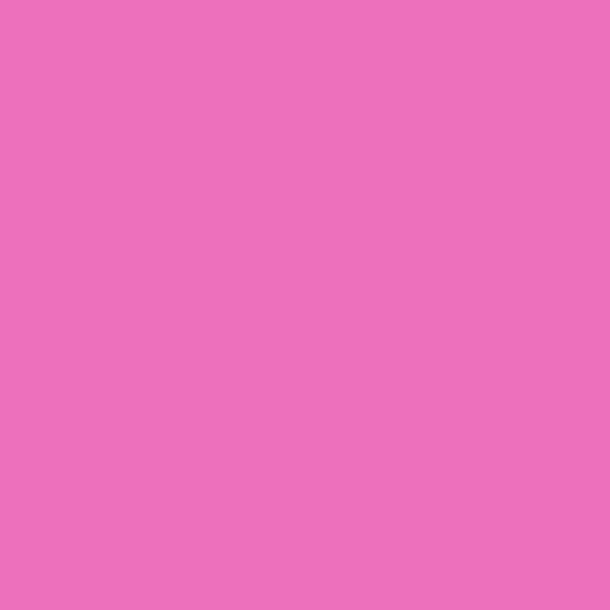 Pre-Order: Midnight Blooms - Pink