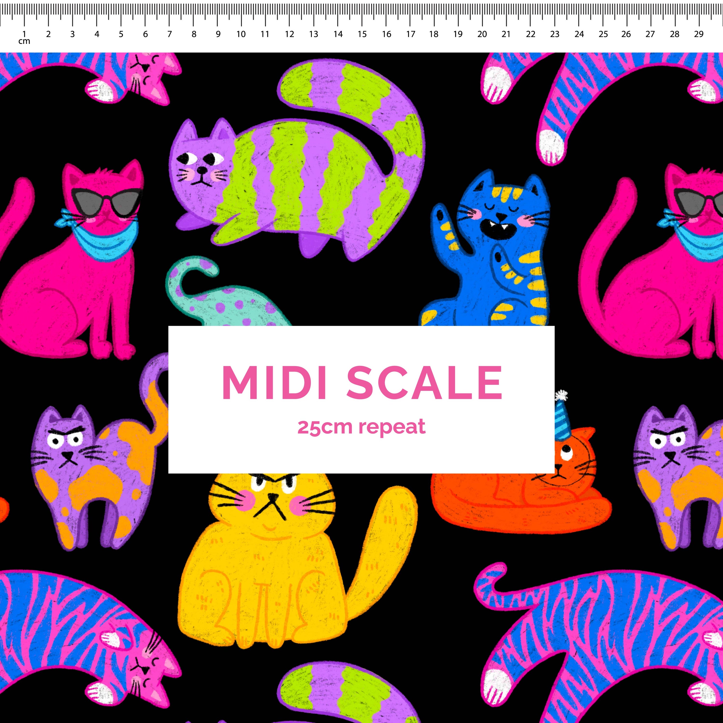 Pre-Order: Moody Cats (Black)