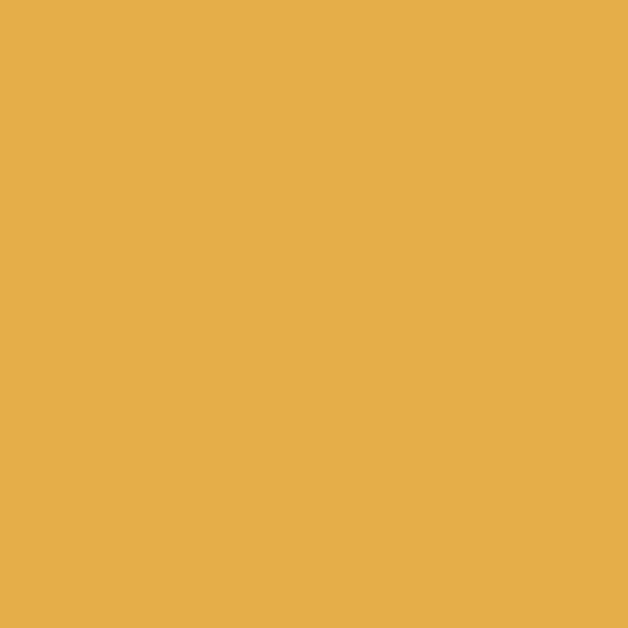 Pre-Order: Nouveau - Mustard