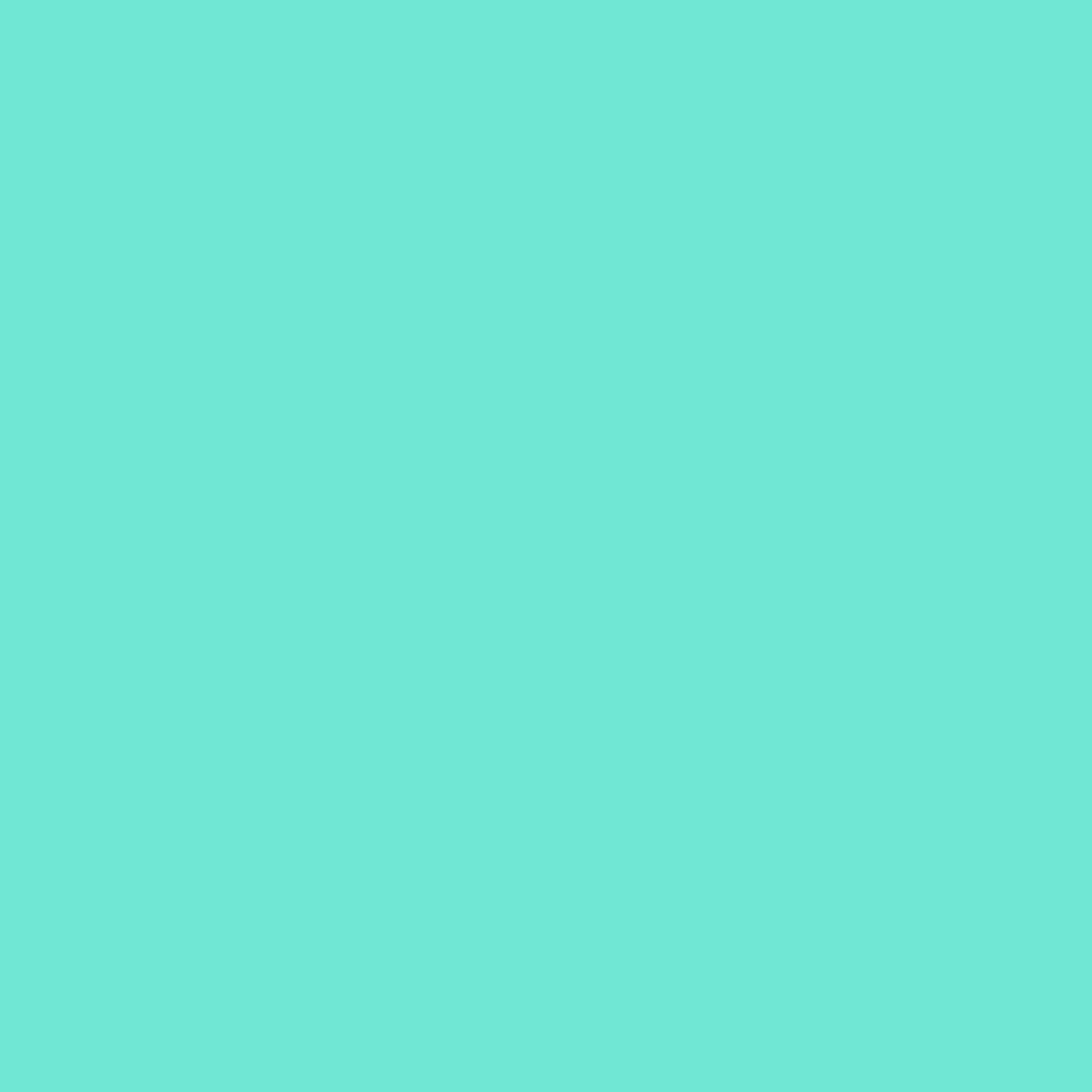 Pre-Order: Playground - Aqua