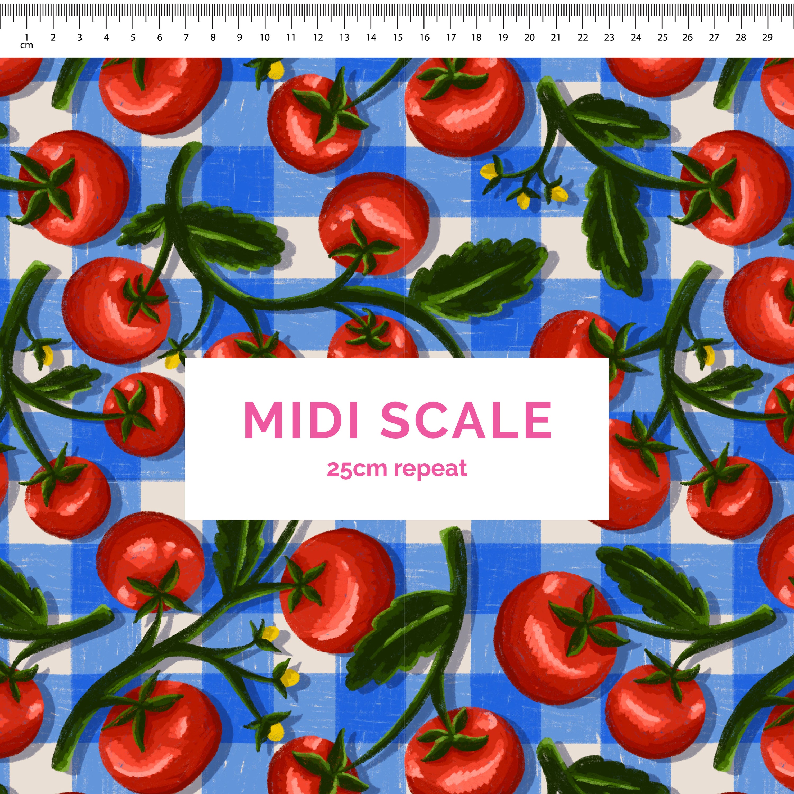 Pre-Order: Pomodoro (Blue)