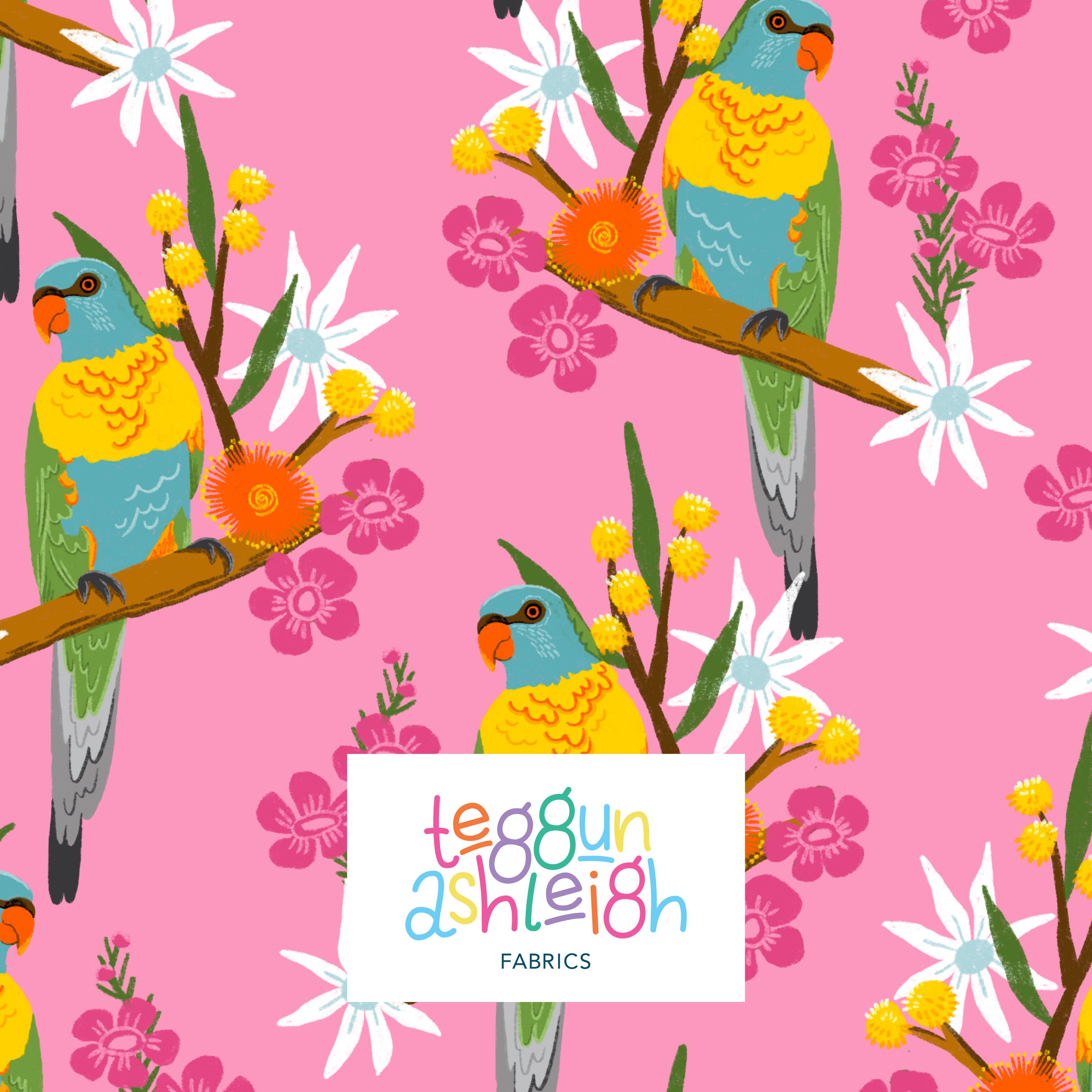 Pre-Order: Rainbow Lorikeet