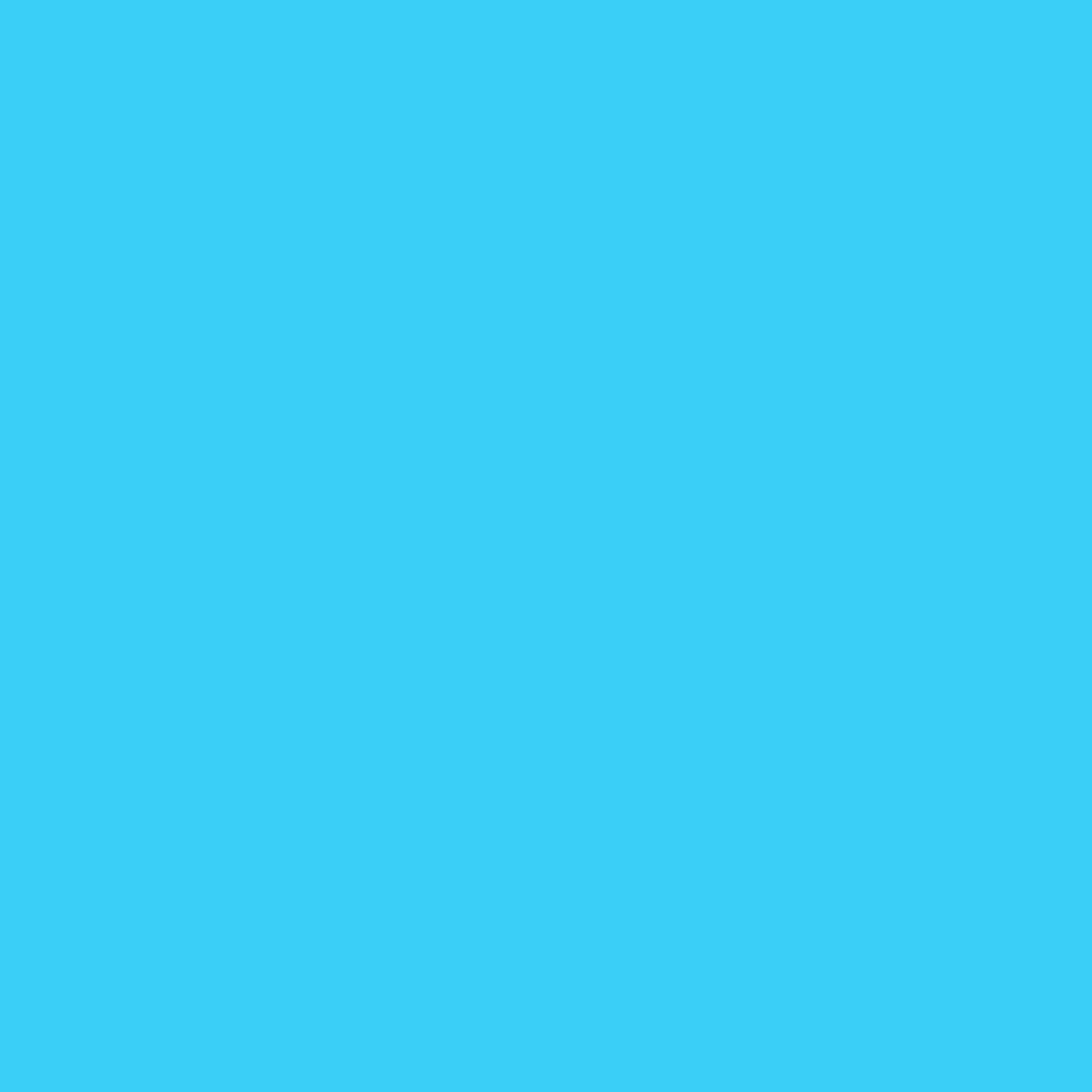 Pre-Order: Retro Bloomer - Blue