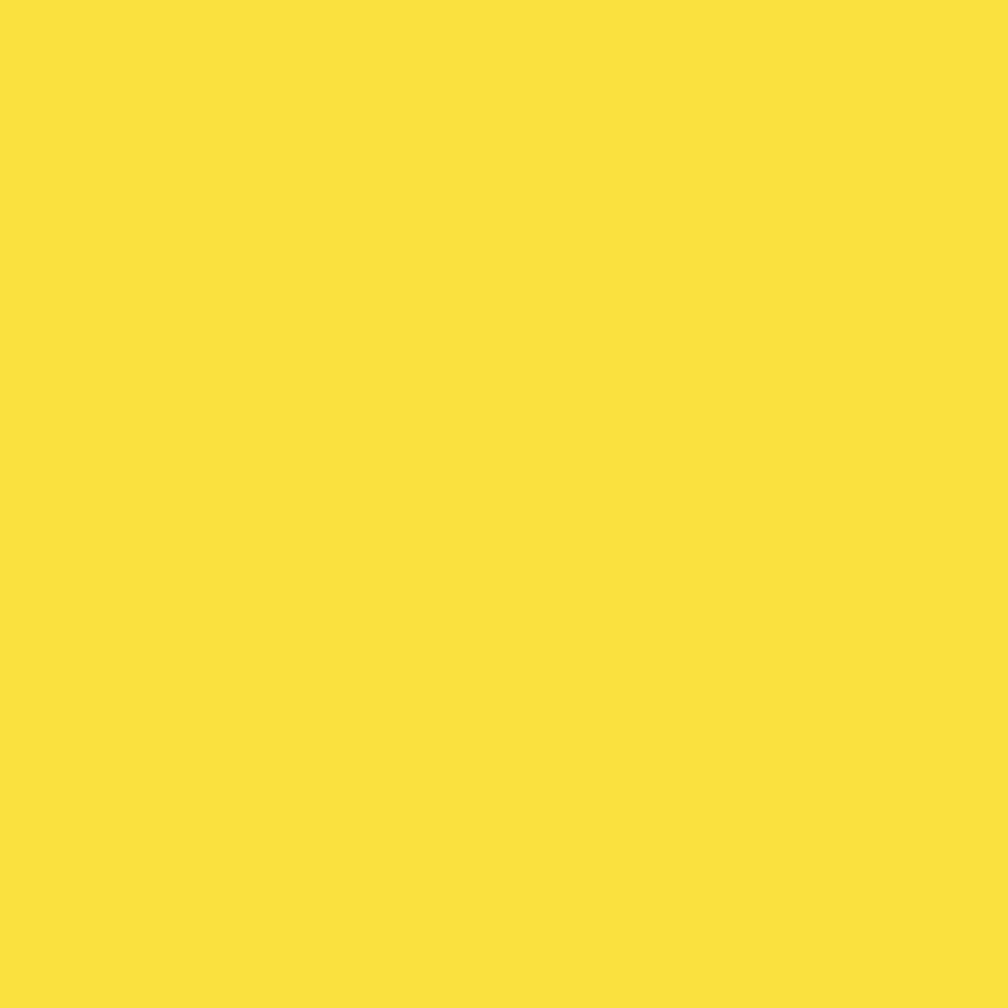 Pre-Order: Retro Bloomer - Yellow
