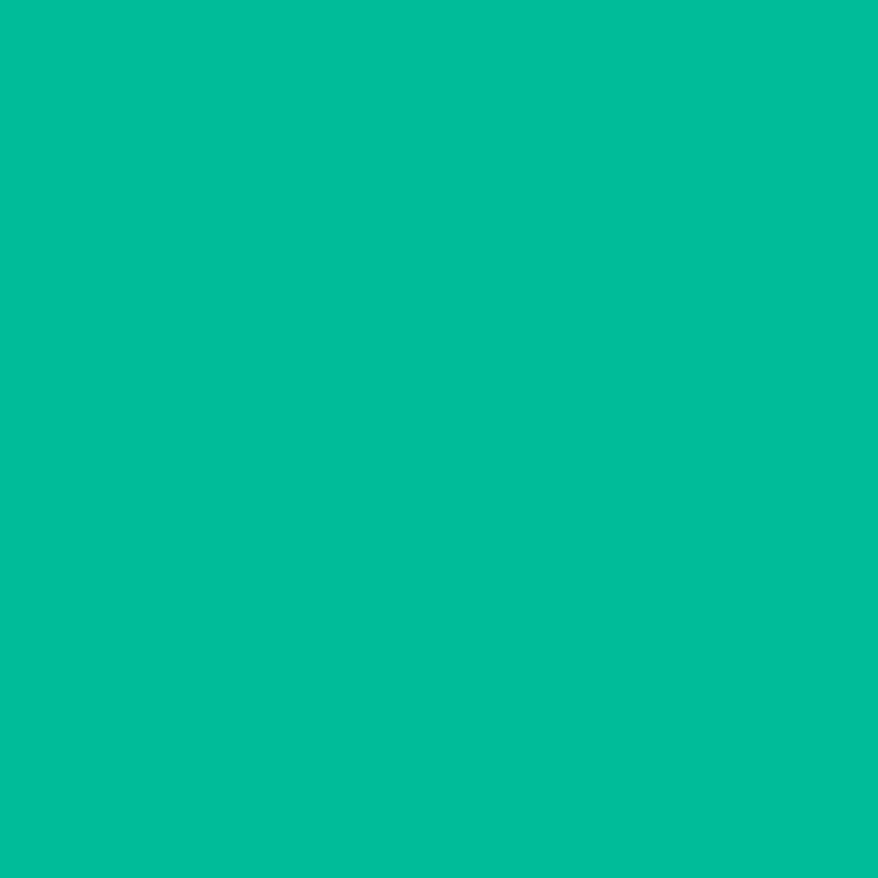 Pre-Order: Retro Bloomer - Teal